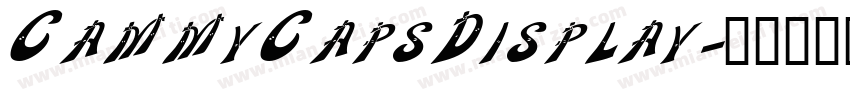 CammyCapsDisplay字体转换