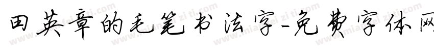 田英章的毛笔书法字字体转换