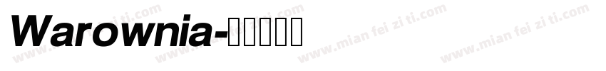 Warownia字体转换