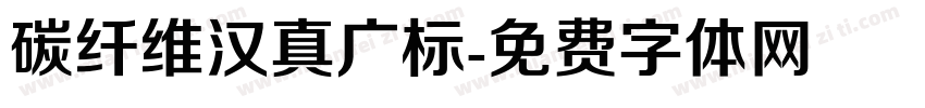 碳纤维汉真广标字体转换