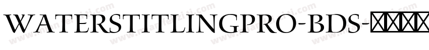 WatersTitlingPro-BdS字体转换