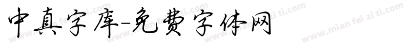 中真字库字体转换