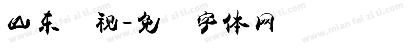 山东卫视字体转换