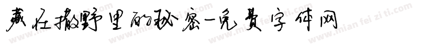 藏在撒野里的秘密字体转换
