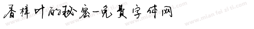 香樟叶的秘密字体转换