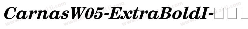 CarnasW05-ExtraBoldI字体转换