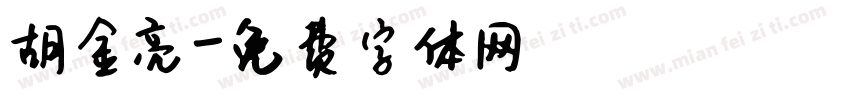 胡金亮字体转换
