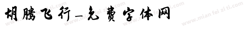 胡腾飞行字体转换