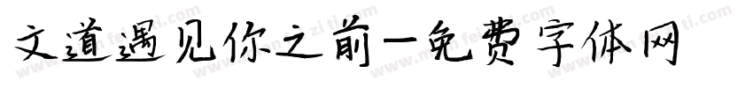 文道遇见你之前字体转换