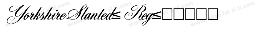 YorkshireSlanted-Reg字体转换