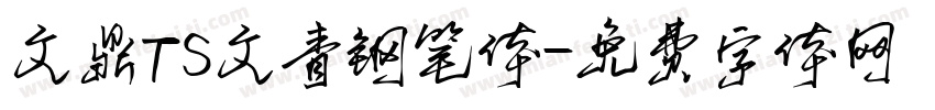 文鼎TS文青钢笔体字体转换