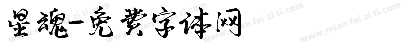星魂字体转换