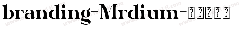 branding-Mrdium字体转换