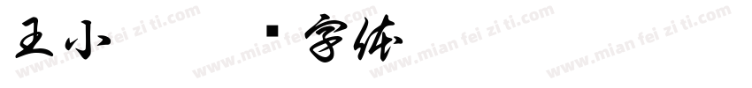 王小芬字体转换