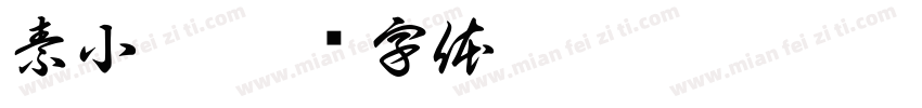 素小漆字体转换