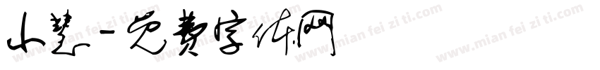 小慧字体转换