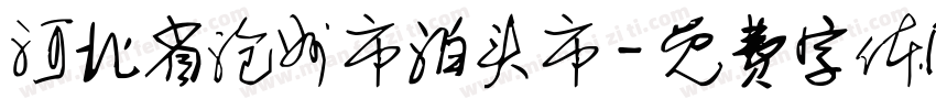 河北省沧州市泊头市字体转换