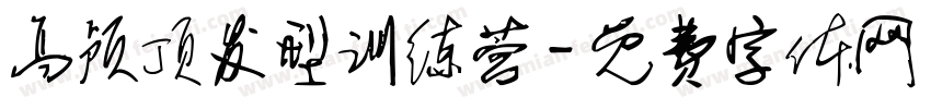 高颅顶发型训练营字体转换