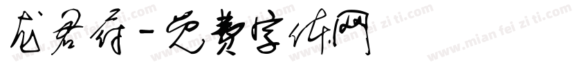 龙君府字体转换