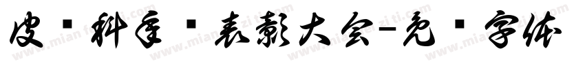 皮肤科年终表彰大会字体转换