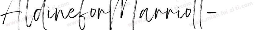 AldineforMarriott字体转换