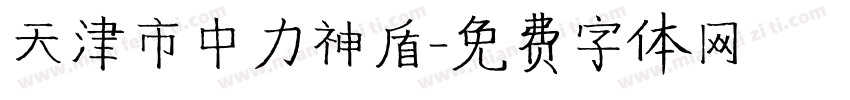 天津市中力神盾字体转换
