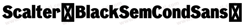 Scalter-BlackSemCondSans字体转换