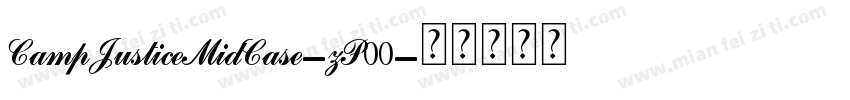 CampJusticeMidCase-zP00字体转换