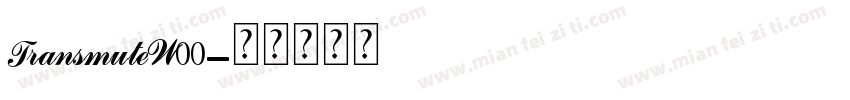 TransmuteW00字体转换