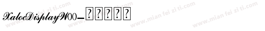 XalocDisplayW00字体转换