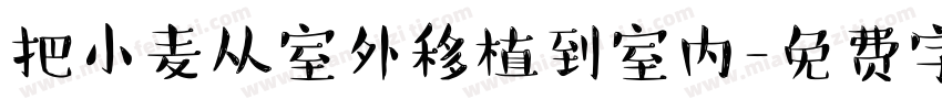 把小麦从室外移植到室内字体转换