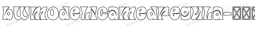 bwmodelicamedregula字体转换