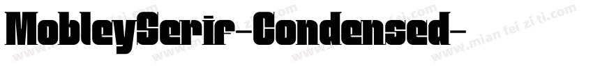 MobleySerif-Condensed字体转换