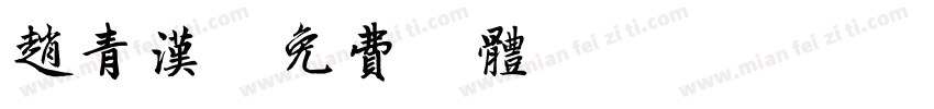 赵青汉字体转换