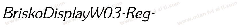 BriskoDisplayW03-Reg字体转换