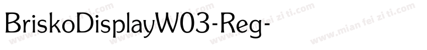 BriskoDisplayW03-Reg字体转换