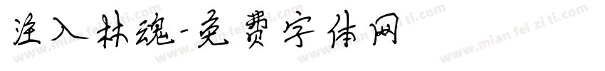 注入林魂字体转换