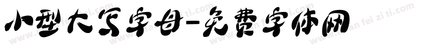 小型大写字母字体转换