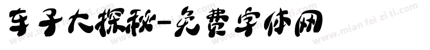 车子大探秘字体转换