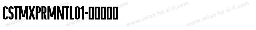CSTMXPRMNTLO1字体转换
