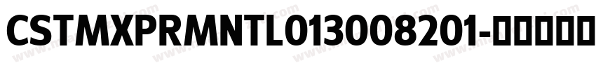 CSTMXPRMNTL013008201字体转换