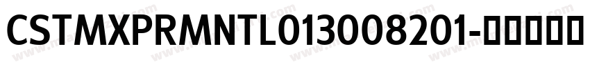 CSTMXPRMNTL013008201字体转换