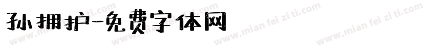 孙拥护字体转换