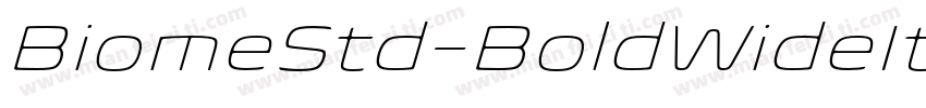 BiomeStd-BoldWideIt字体转换