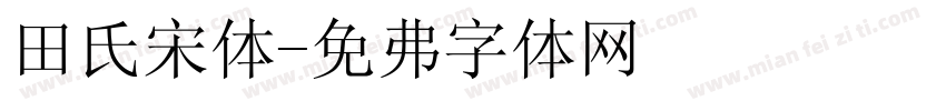 田氏宋体字体转换