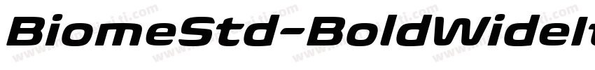 BiomeStd-BoldWideIt字体转换