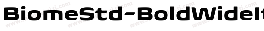BiomeStd-BoldWideIt字体转换