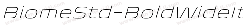 BiomeStd-BoldWideIt字体转换