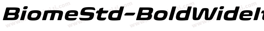 BiomeStd-BoldWideIt字体转换