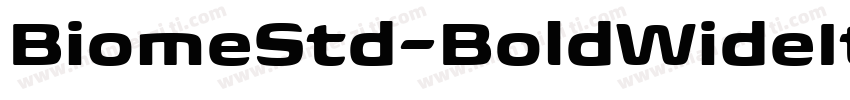 BiomeStd-BoldWideIt字体转换